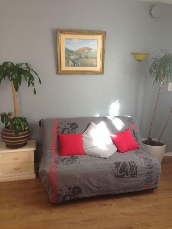 Petit Appartement Douillet Tres Bien Situe Биарриц Экстерьер фото